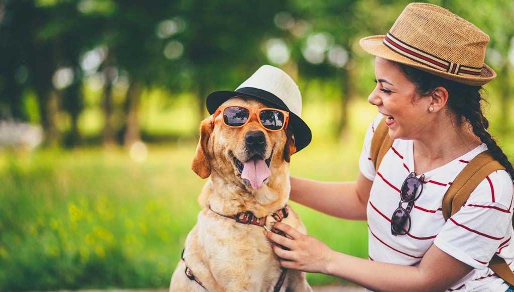 How to travel with pets